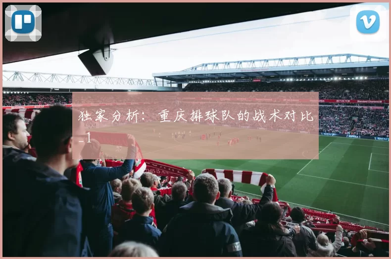 独家分析：重庆排球队的战术对比_1