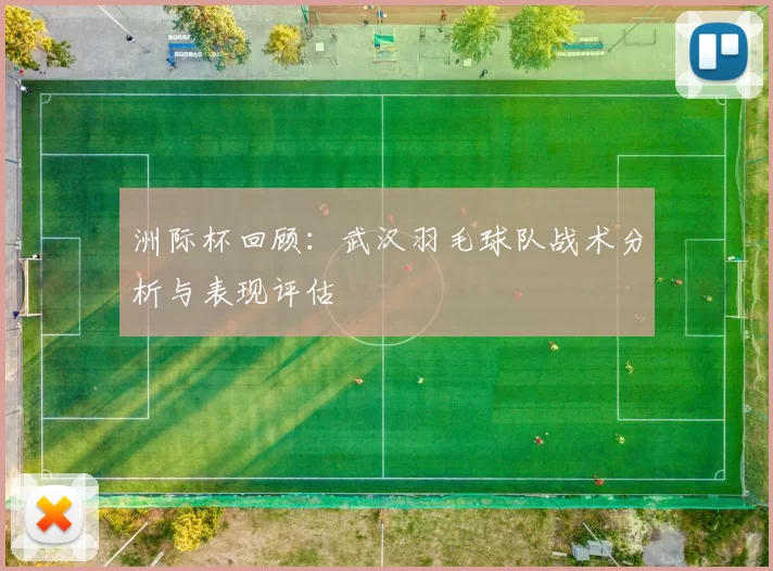 洲际杯回顾：武汉羽毛球队战术分析与表现评估