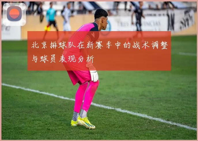 北京排球队在新赛季中的战术调整与球员表现分析