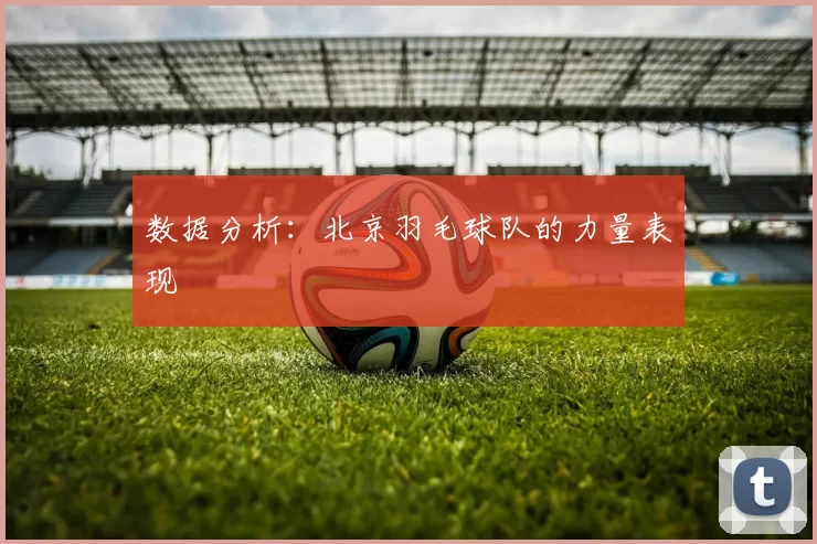 数据分析：北京羽毛球队的力量表现
