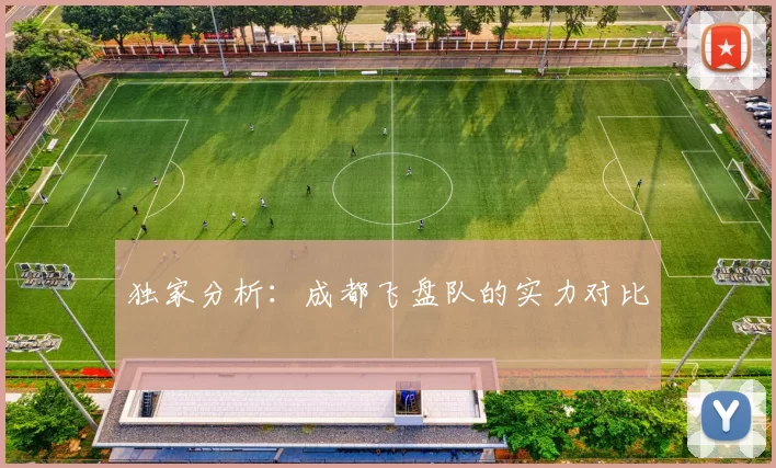 独家分析：成都飞盘队的实力对比
