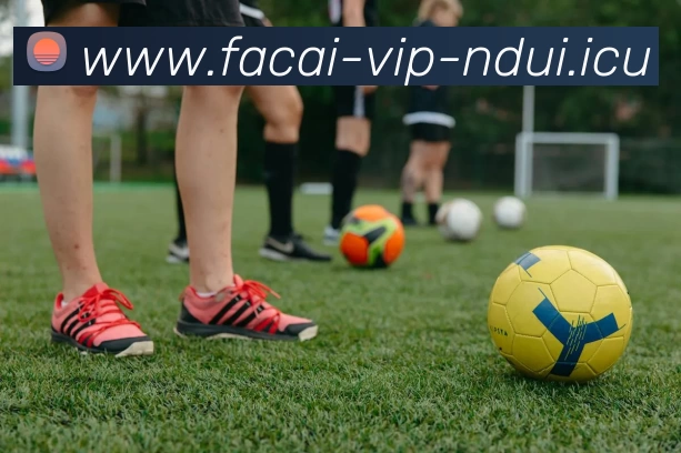 开云体育发展历程