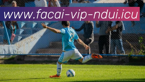 武汉足球队在杯赛中的节奏表现分析与战术探讨